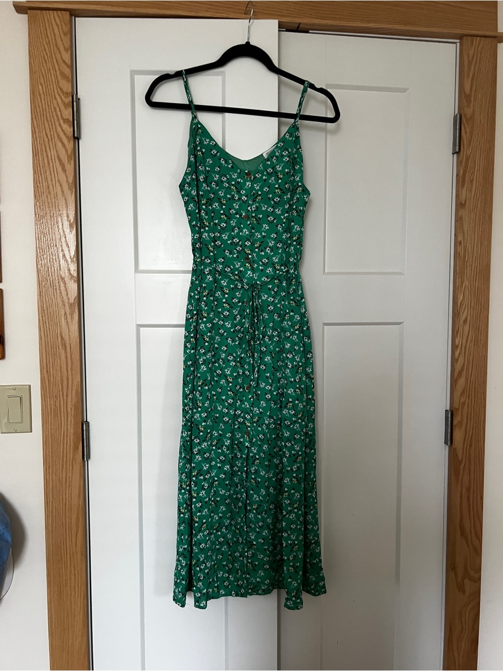 Sienna Sky Green Floral Maxi Dress with Tie Waist